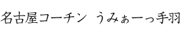 名古屋コーチン  うみぁーっ手羽